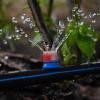 Irrigation